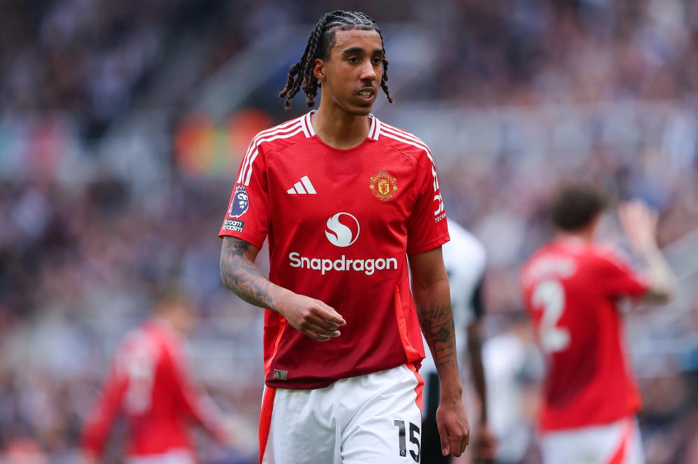 炙手可热 炙手可热